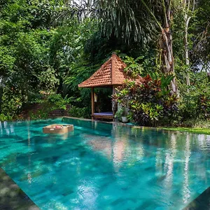 Sari Bamboo Willa
