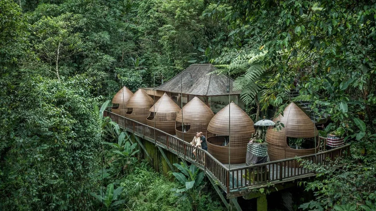 The Kayon Jungle Resort Ubud  Indonesia