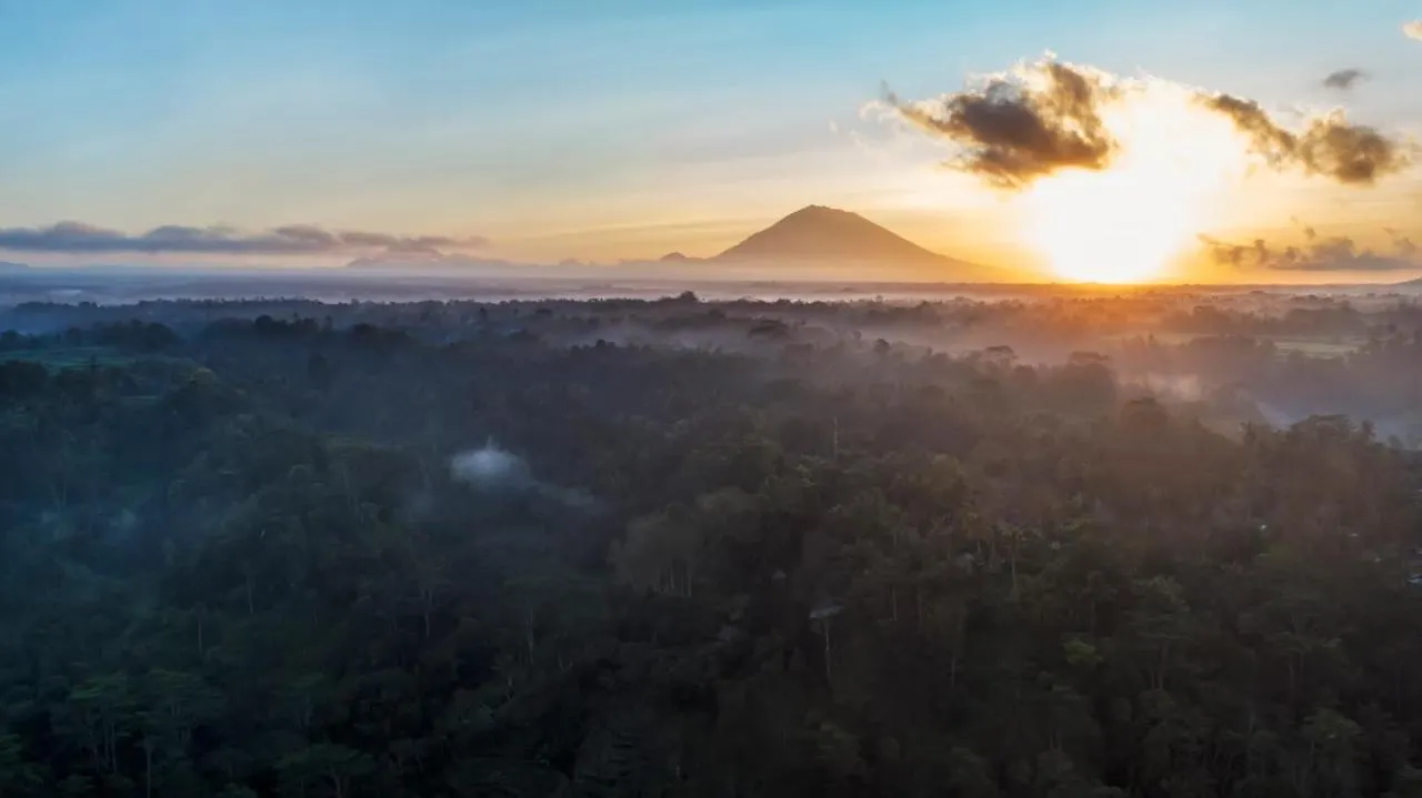 The Kayon Jungle Resort Ubud  Ubud (Bali)